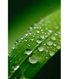 Left banner 2